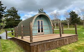 The Pod Patch - Trelerney Pod